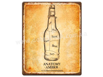 Anatomy Amber Beer