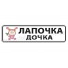 Иван царевич!